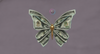 Crop Hoodie in storm purple color with closeup view of front - containing the digital butterfly with $100 bill wings, cyan glow outline, gold body, and hidden golden “6” symbols.